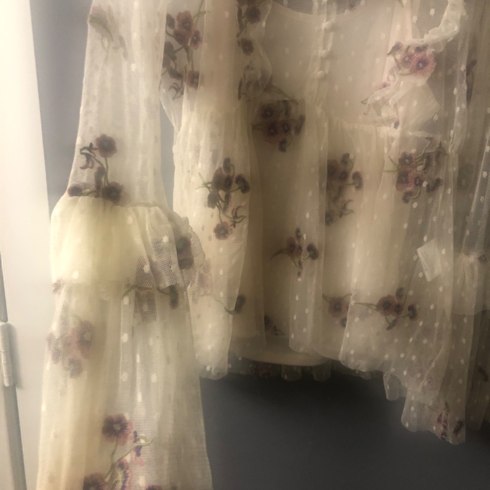 Sheer English manor blouse